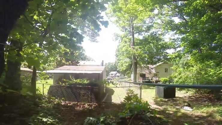 Felling a large dead Oak